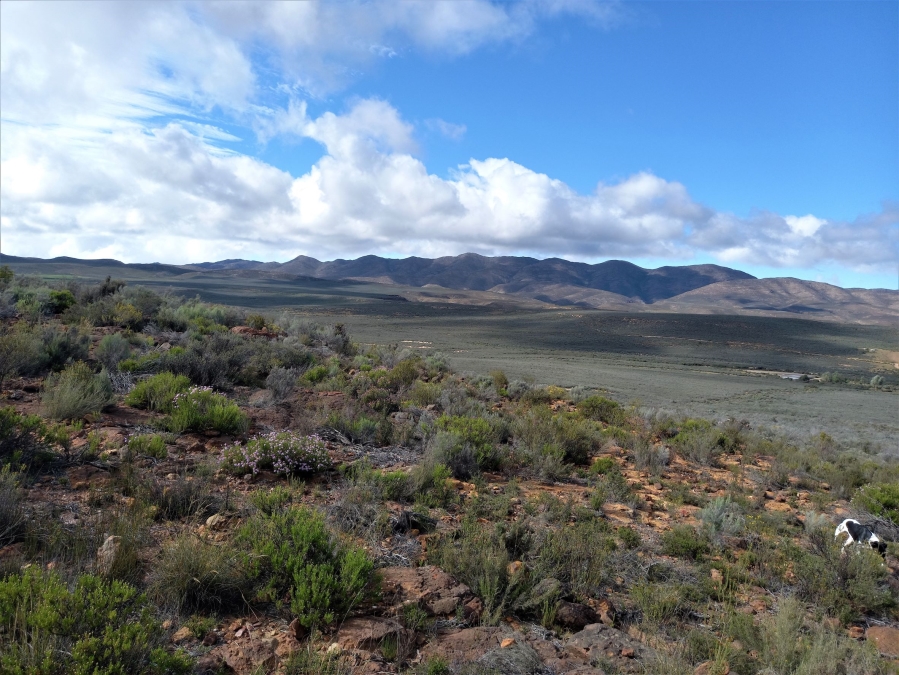 Commercial Property for Sale in Uniondale Rural Western Cape
